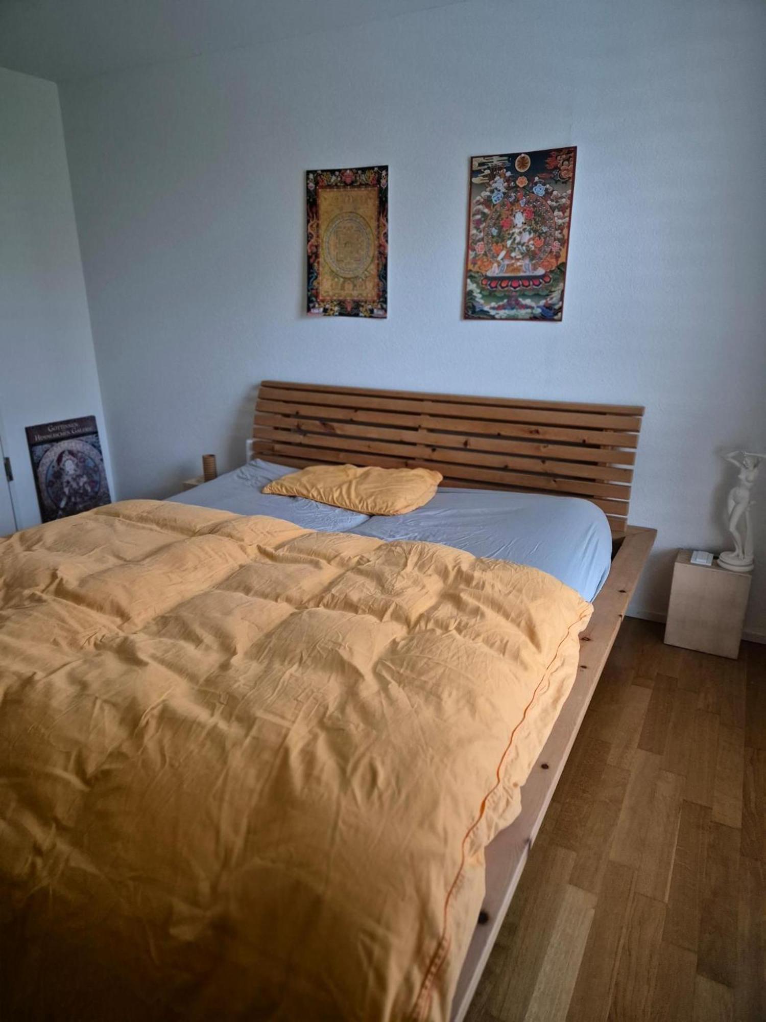 Zimmer In Penthouse-Wohnung Windisch Δωμάτιο φωτογραφία