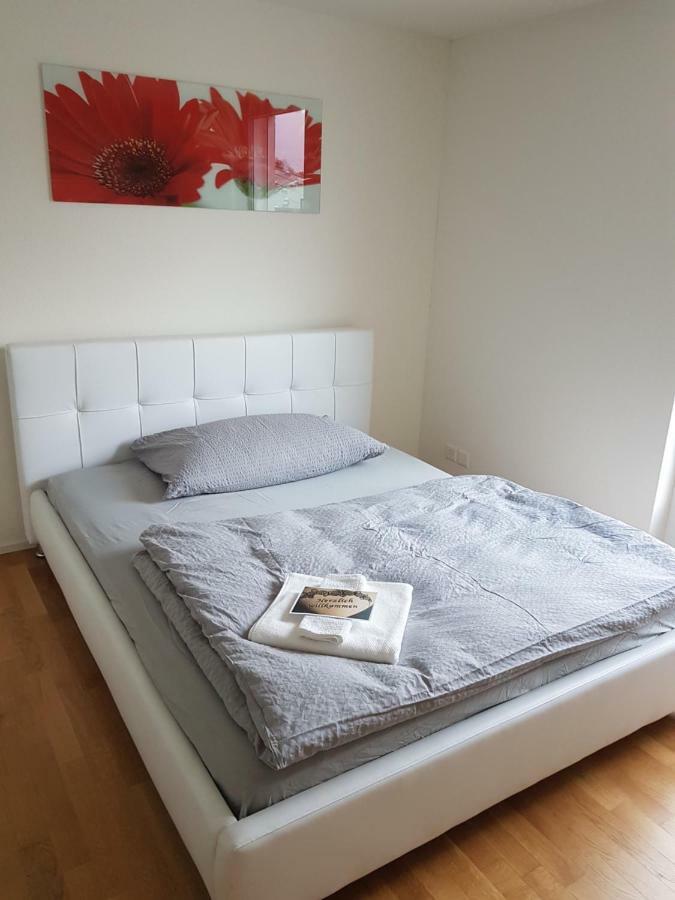 Zimmer In Penthouse-Wohnung Windisch Εξωτερικό φωτογραφία