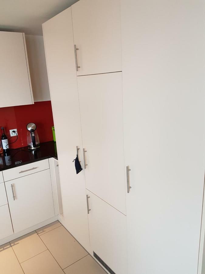 Zimmer In Penthouse-Wohnung Windisch Εξωτερικό φωτογραφία