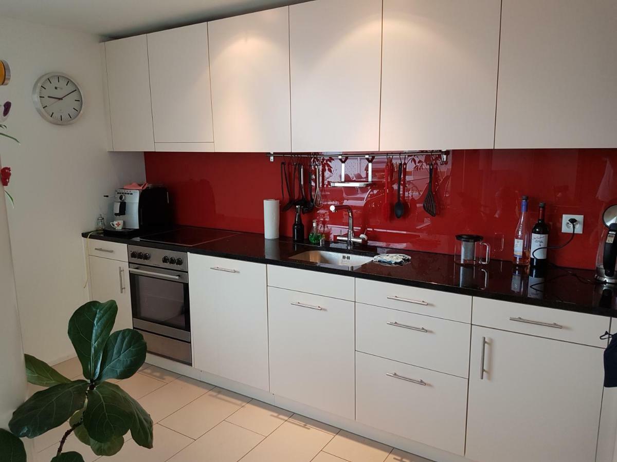 Zimmer In Penthouse-Wohnung Windisch Εξωτερικό φωτογραφία