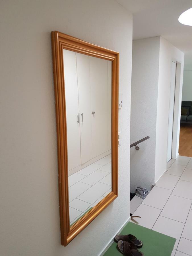 Zimmer In Penthouse-Wohnung Windisch Εξωτερικό φωτογραφία