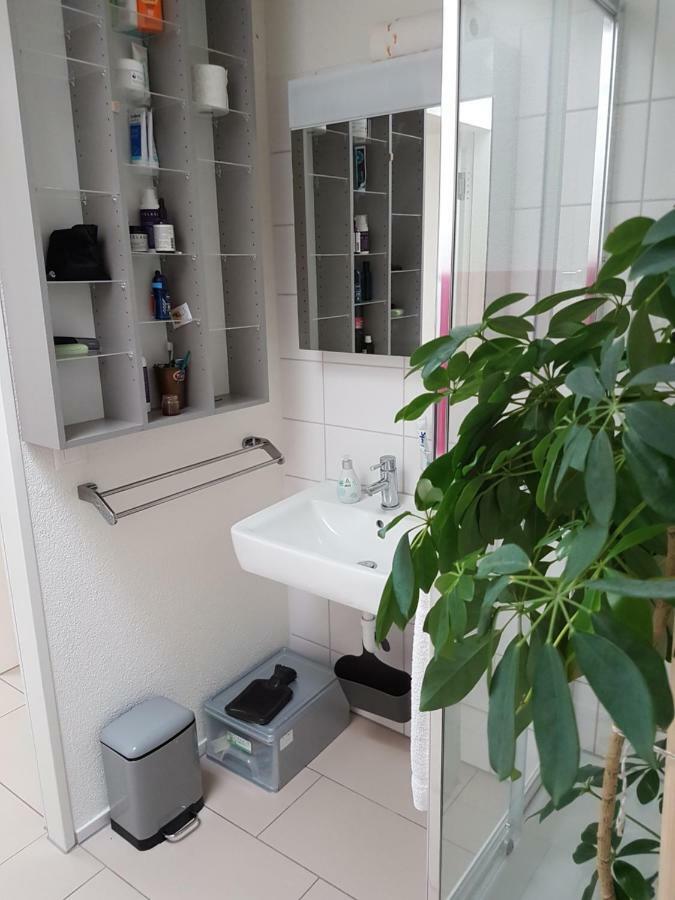 Zimmer In Penthouse-Wohnung Windisch Εξωτερικό φωτογραφία