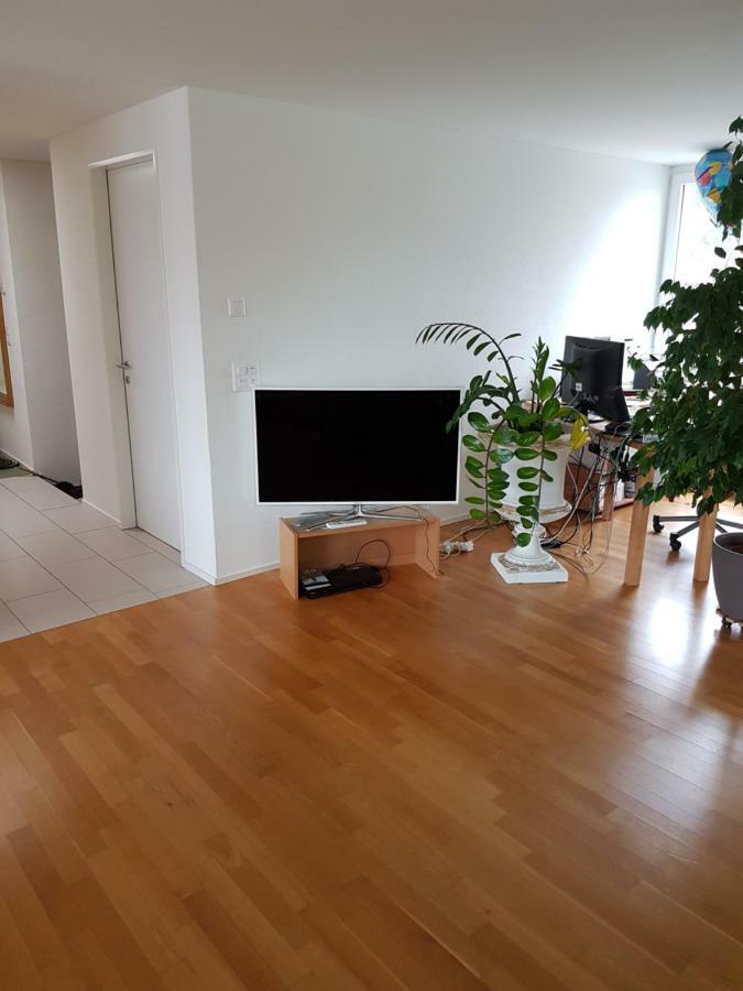 Zimmer In Penthouse-Wohnung Windisch Εξωτερικό φωτογραφία