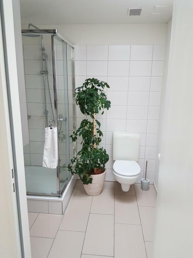 Zimmer In Penthouse-Wohnung Windisch Εξωτερικό φωτογραφία