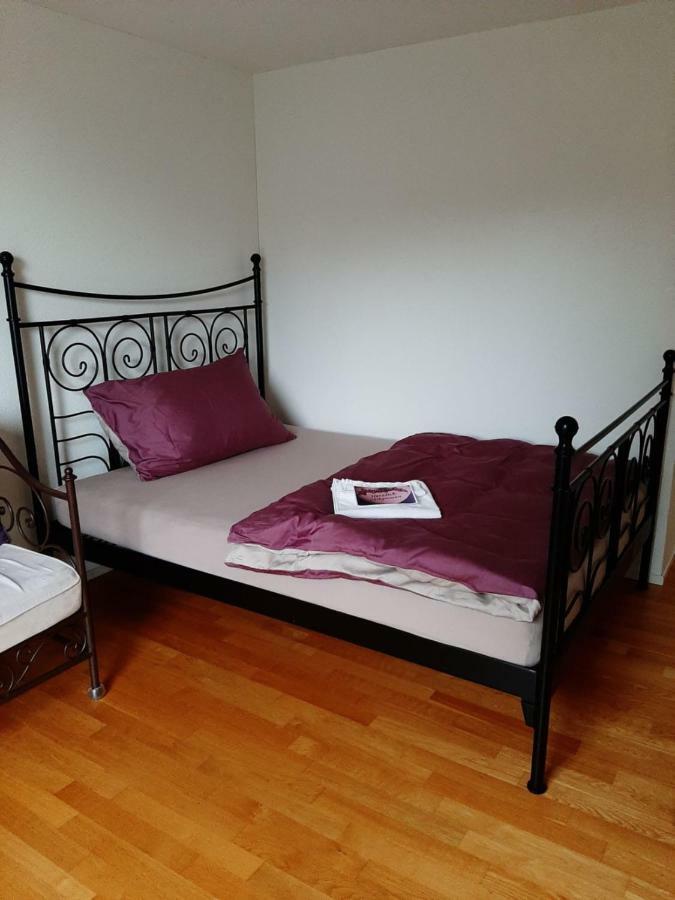 Zimmer In Penthouse-Wohnung Windisch Εξωτερικό φωτογραφία
